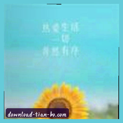 王强